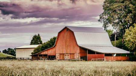 Multiple First Places at 2019 Benton County Fair