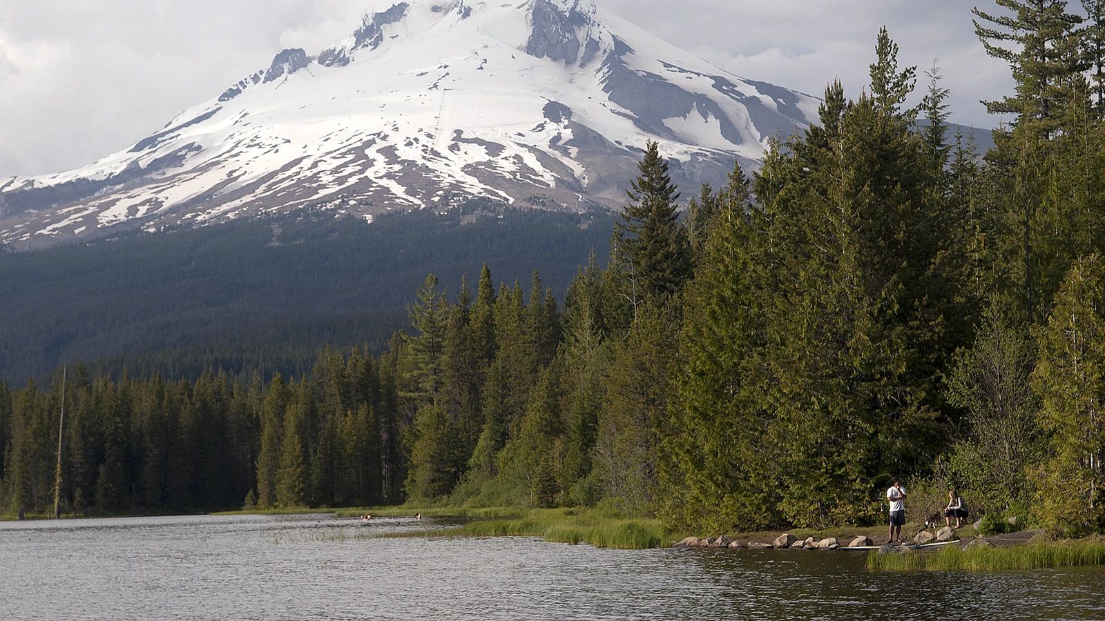 Video Production Ads and Content in Oregon Mount Hood rising above forested ridges in Oregon